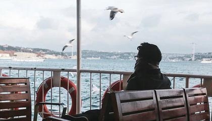 Taliesin 与 Evitel 每周重置：全新房屋装饰与插件定稿