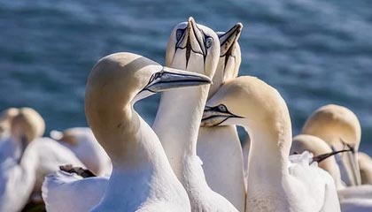 17173热门游戏榜:《战双帕弥什》新版上线 《鸣潮》3.0版本「我们生而眺望」登场